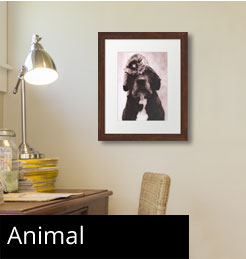 Framed Animal Art