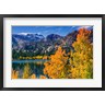 Russ Bishop / DanitaDelimont - Golden Fall Landscape At June Lake (R1004075-AEAEAGOFDM)