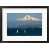 Michel Hersen / Danita Delimont - Sailboats On The Columbia River, Oregon (R1004713-AEAEAGOFDM)