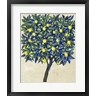 Timothy O'Toole - Lemon Tree Composition II (R1052011-AEAEAGOFDM)