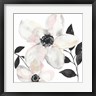 Jennifer Goldberger - Black & Blush Anemone II (R1073079-AEAEAGOFDM)