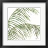 Georgia Janisse - Two Palm Fronds I (R1079634-AEAEAGOFDM)