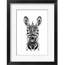 Incado - Zebra Illustration (R1083696-AEAEAGOFDM)