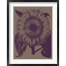 Sunflower 14 (R684401-AEAEAGOFDM)