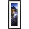 Panoramic Images - High angle view of a river flowing through a forest, Virgin River, Zion National Park, Utah, USA (R752156-AEAEAGOFDM)