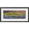 Panoramic Images - Virgin River at Big Bend, Zion National Park, Springdale, Utah, USA (R757282-AEAEAGOFDM)