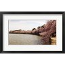 Panoramic Images - Tidal Basin, Washington DC (R778321-AEAEAGOFDM)