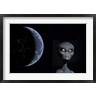 Mark Stevenson/Stocktrek Images - A Grey Alien (R824276-AEAEAGOFDM)