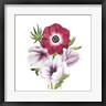 Grace Popp - Anemone Blooms I (R987733-AEAEAGOFDM)