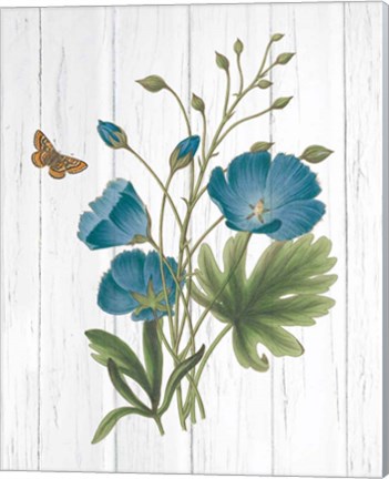 Framed Botanical Bouquet on Wood III Print