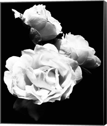 Framed Dramatic Love Blooms  I Print