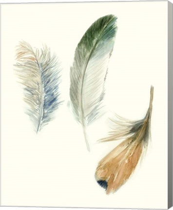 Framed Watercolor Feathers II Print