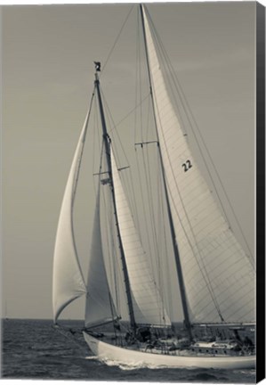 Framed Schooner #22 Sailing, Massachusetts (BW) Print