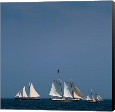 Framed Three Schooners Sailing In Cape Ann Print