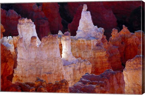 Framed Hoodoos At Sunrise Point, Bryce Canyon National Park, Utah Print