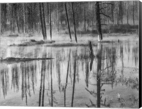 Framed Mistry Creek, Wyoming (BW) Print