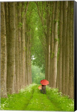 Framed Two Umbrellas, Belgium Print