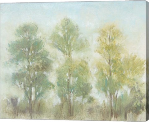 Framed Muted Trees II Print