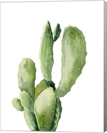 Framed Cactus II Print