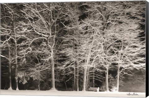 Framed Snowy Trees Print