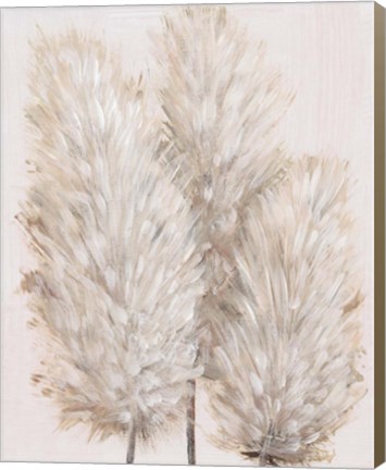 Framed Pampas Grass IV Print