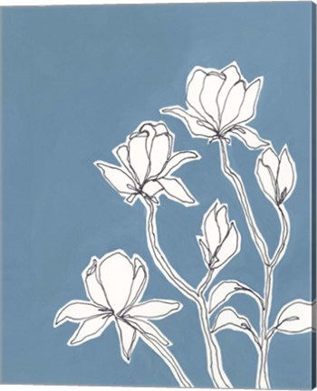 Framed Botanic Drawing IV Print