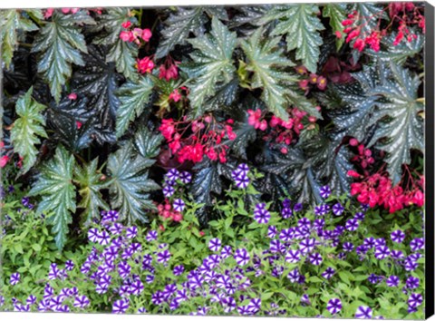 Framed Indoor Garden With A Variety Of Spring Blooming Flowers Print