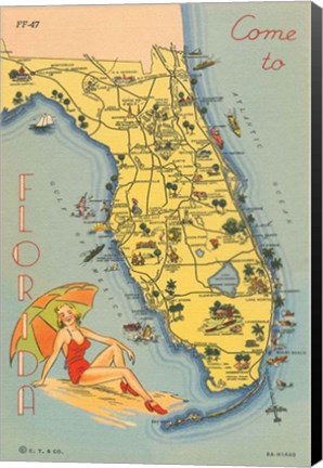 Framed Florida Postcard VI Print