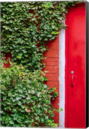 Framed Red Garden Door Print