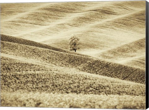 Framed Infrared of Lone Tree in Wheat Field 2 Print