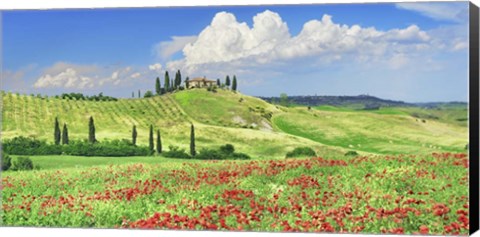 Framed Farmhouse with Cypresses and Poppies, Val d&#39;Orcia, Tuscany Print