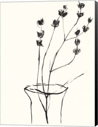 Framed Naive Flower Sketch III Print