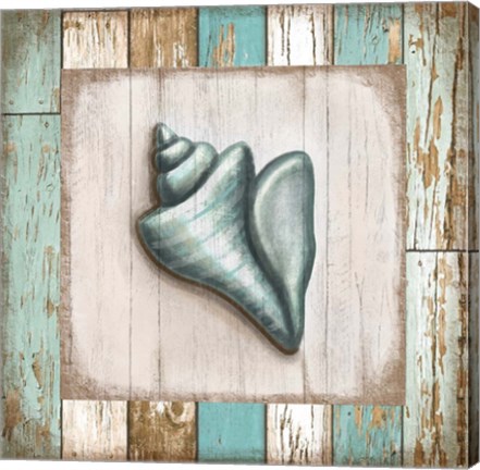 Framed Turquoise Seashell Print