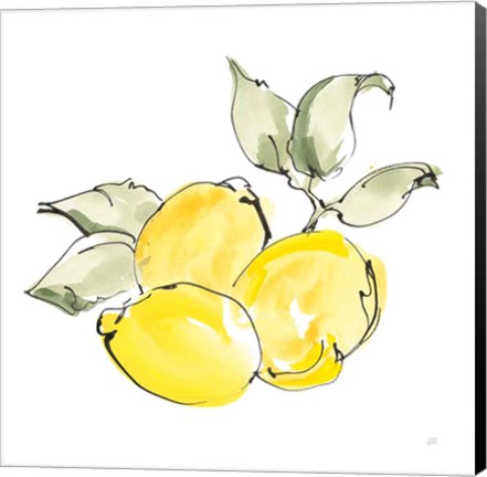 Framed Lemons II Print