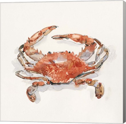 Framed Crusty Crab II Print