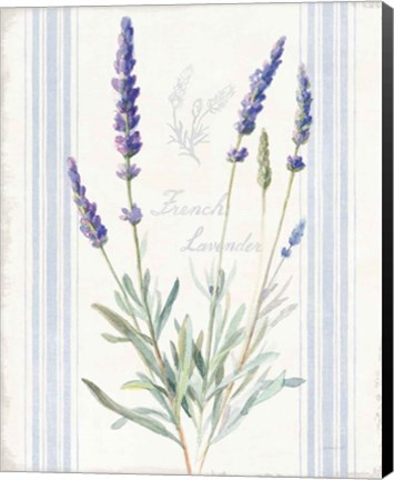 Framed Floursack Lavender I Print