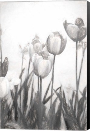 Framed Tulips IV Print