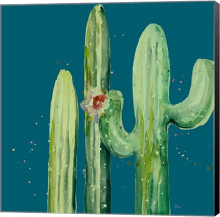 Framed Natural Desert Cactus On Blue II Print