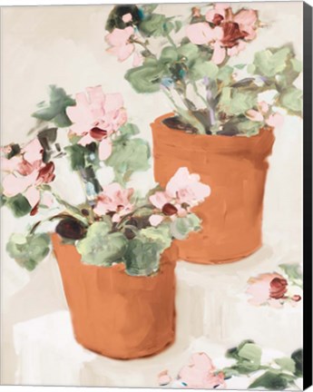 Framed Potted Pink Geraniums Print