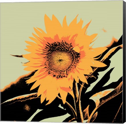 Framed Pop Art Sunflower II Print