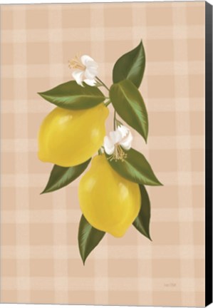 Framed Lemon Botanical II Print