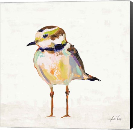 Framed Coastal Plover II Linen Print