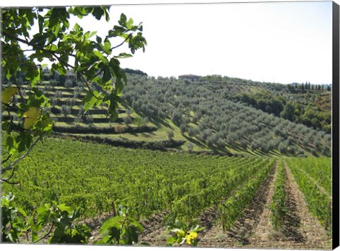 Framed Tuscan Hills Print