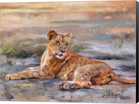 Framed Lion Cub Resting Print