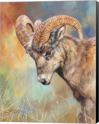 Framed Mountain Goat Print