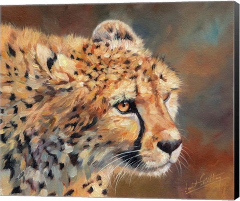 Framed Cheetah Stare Print