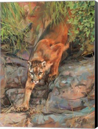 Framed Mountain Lion 2 Print