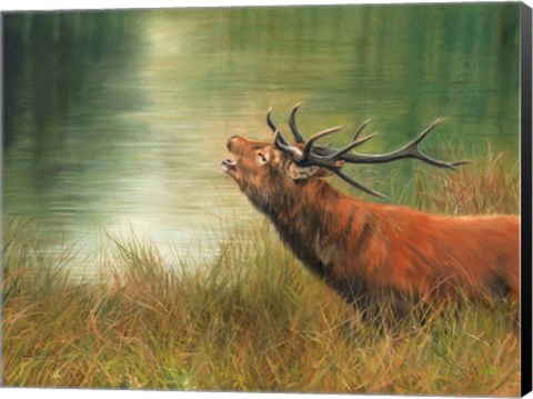 Framed Stag Call Print