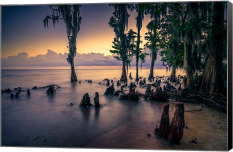 Framed Shore of Lake Pontchartrain Print