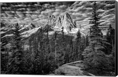 Framed Liberty Bell B&amp;W Print